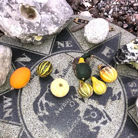 Holmegaarden Bed & Breakfast 3*