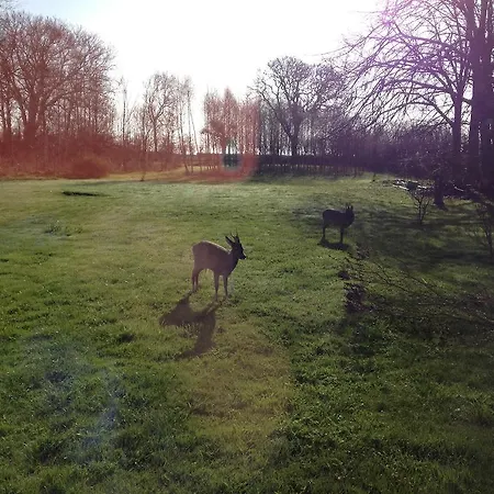 Bed & Breakfast Holmegaarden Bed & Breakfast Bro (Aeroe)