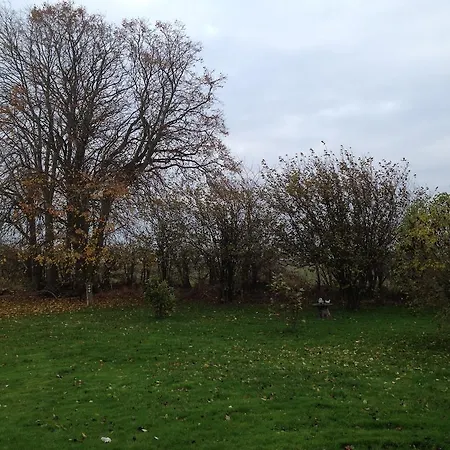 לינה וארוחת בוקר Holmegaarden B & B-k 3*