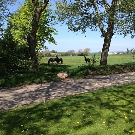 Holmegaarden B & B-k