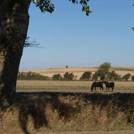 Bed & Breakfast Holmegaarden Bed & Breakfast