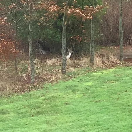 Holmegaarden Bed & Breakfast 3*