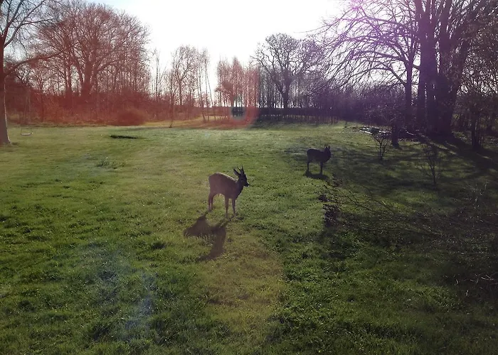 Bed and breakfast Holmegaarden B & B-k Bro (Aeroe)