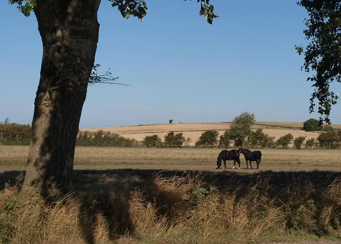 Bed and breakfast Holmegaarden B & B-k